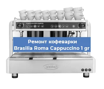 Ремонт заварочного блока на кофемашине Brasilia Roma Cappuccino 1 gr в Москве